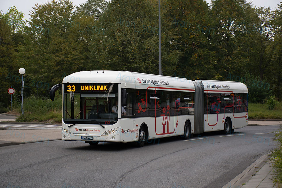 372_53.jpg