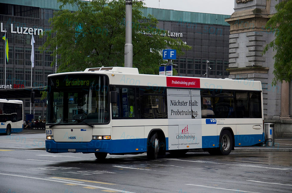 613.jpg