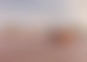 Kísérleti Ikarus 280-as trolik gyári fotókon