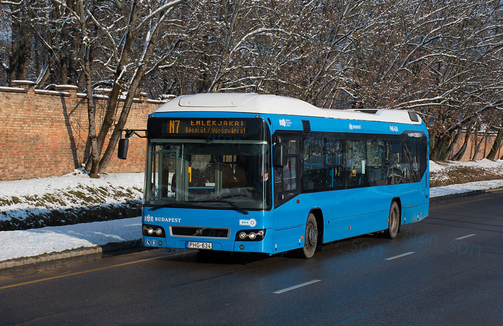 Hibrid az Óbudai temető mellett.