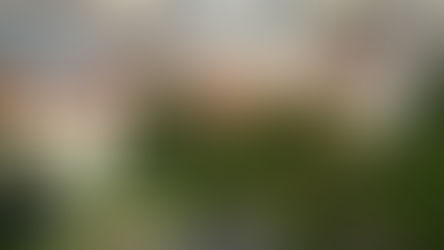 Városnéző buszok | Budapest