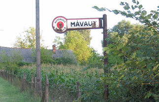 Buszos "kis színesek" Salgótarjánból az '50-es évekből