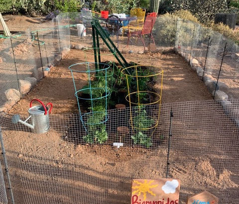 Building an In-Ground Garden Bed