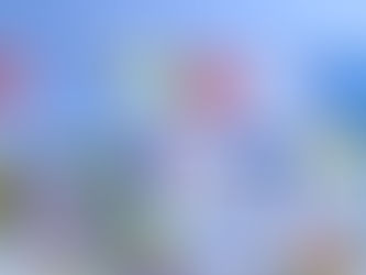 Prayer Flags for Tibet