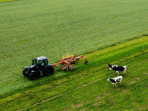 Tractor working across a green pasture with cattle nearby