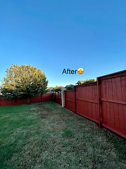 fence.jpeg