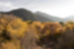 new homepage bg 2025.jpeg