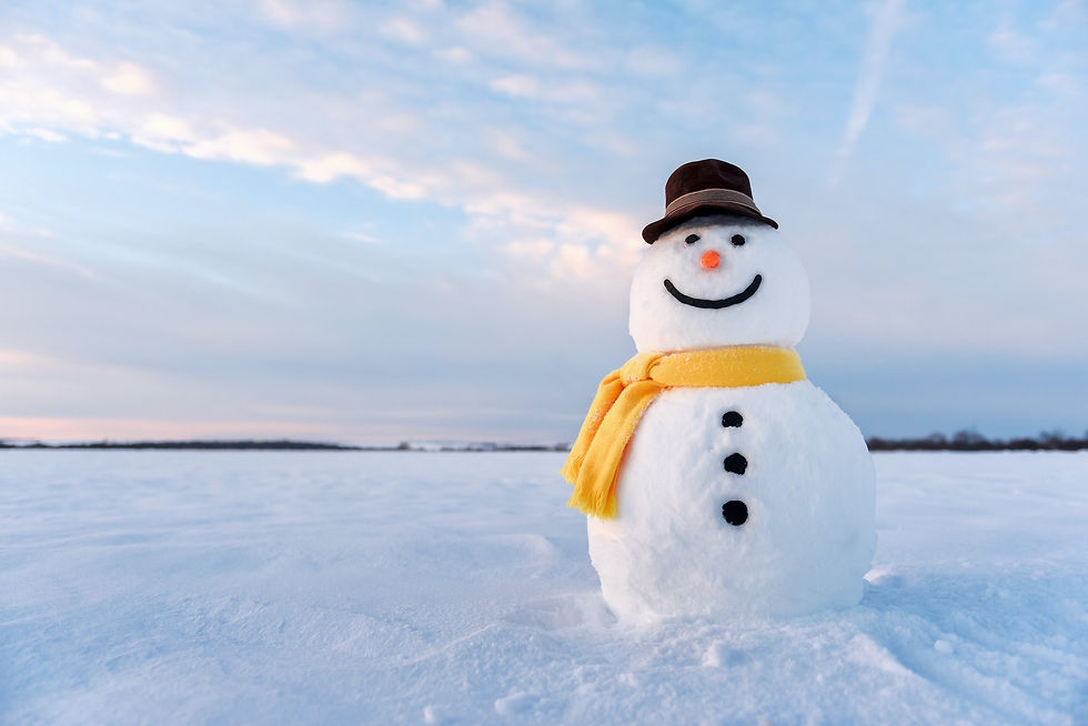 How to Build the BEST Snowman! 