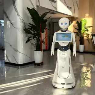 Alice Service Robot