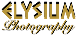 elysium_logo_prepped_edited.png