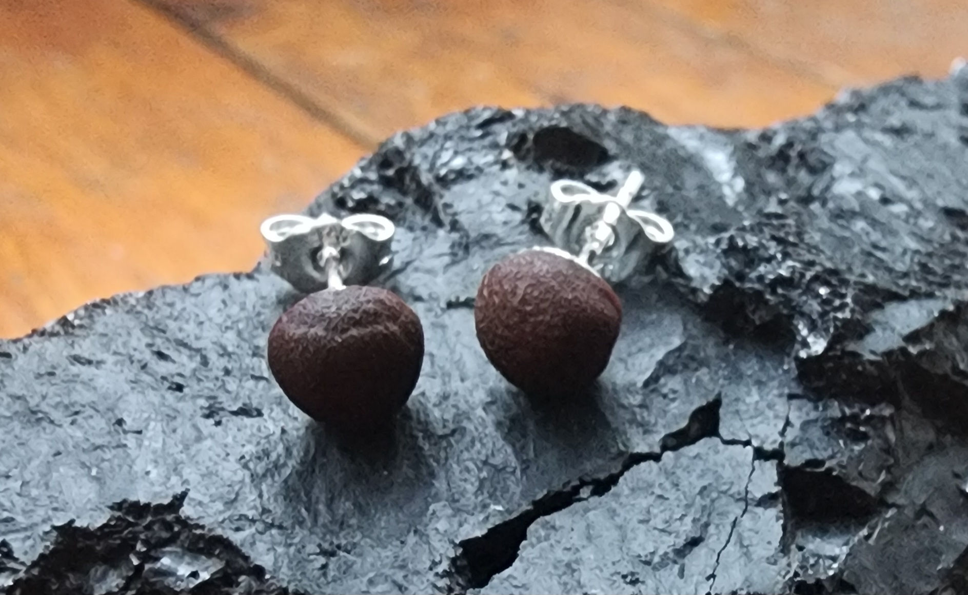 Fossil Berry Seed_ 925 Silver Studs.