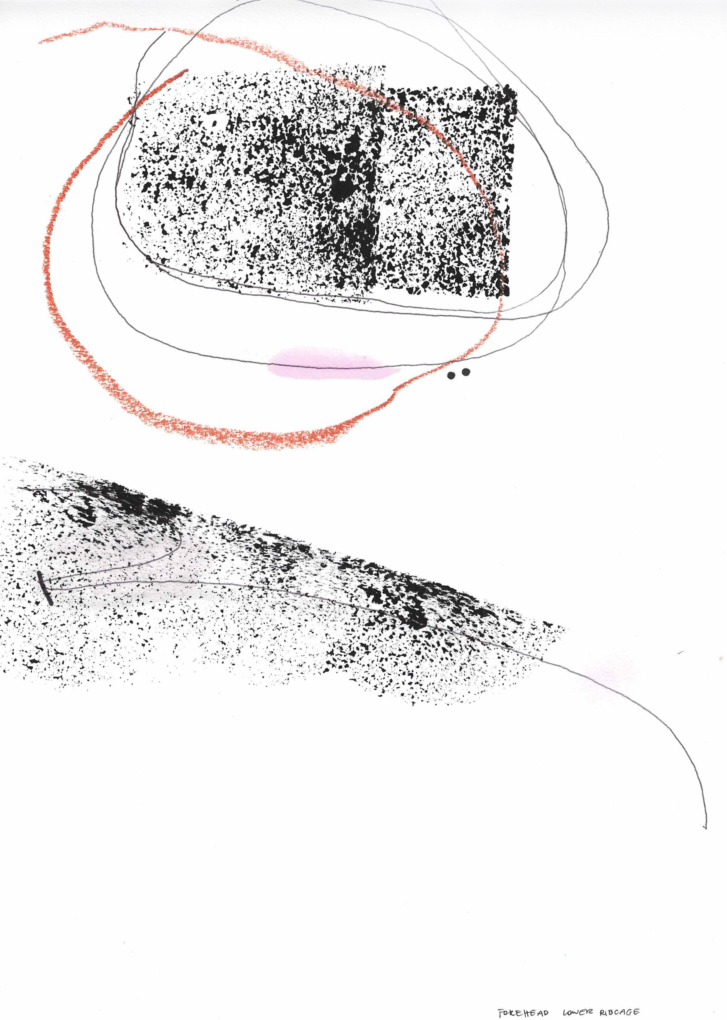 OREHEAD LOWER RIBCAGE