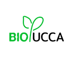 logo_edited.png