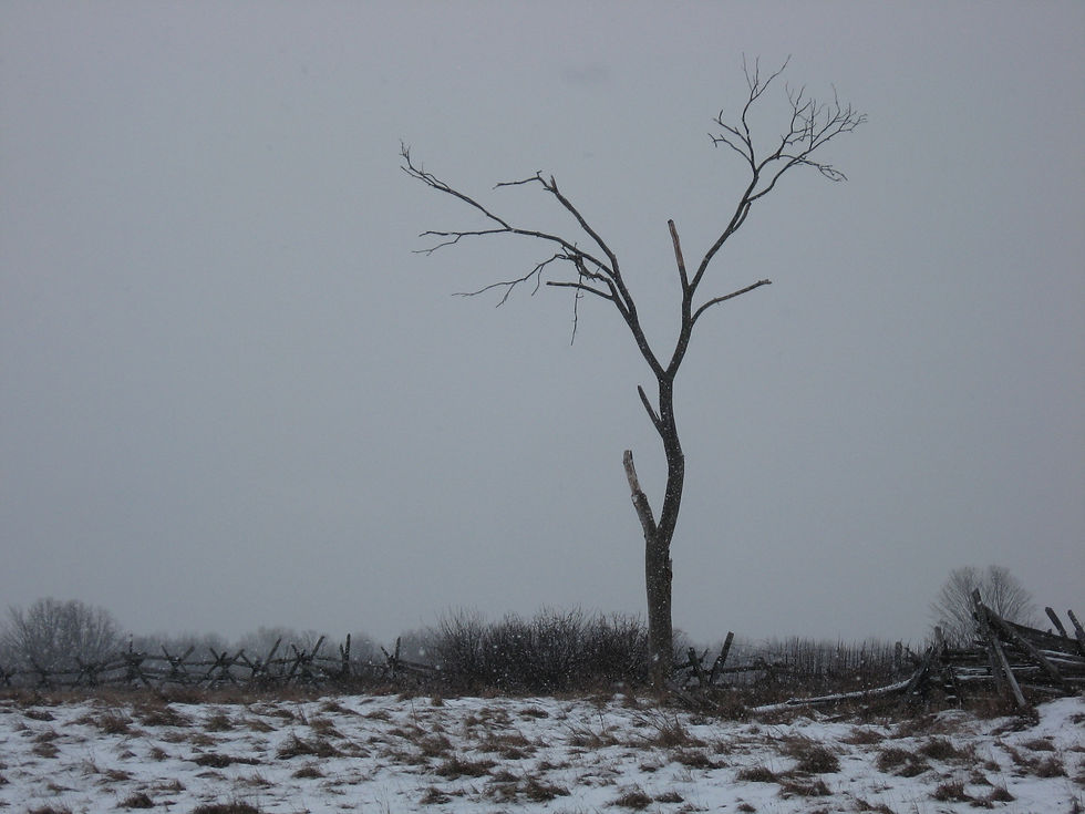 Winter Sky