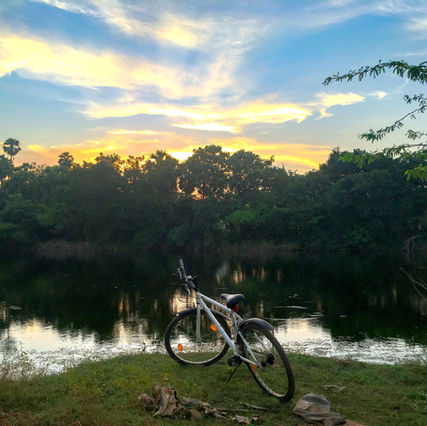 Experiencing the experimental town Auroville