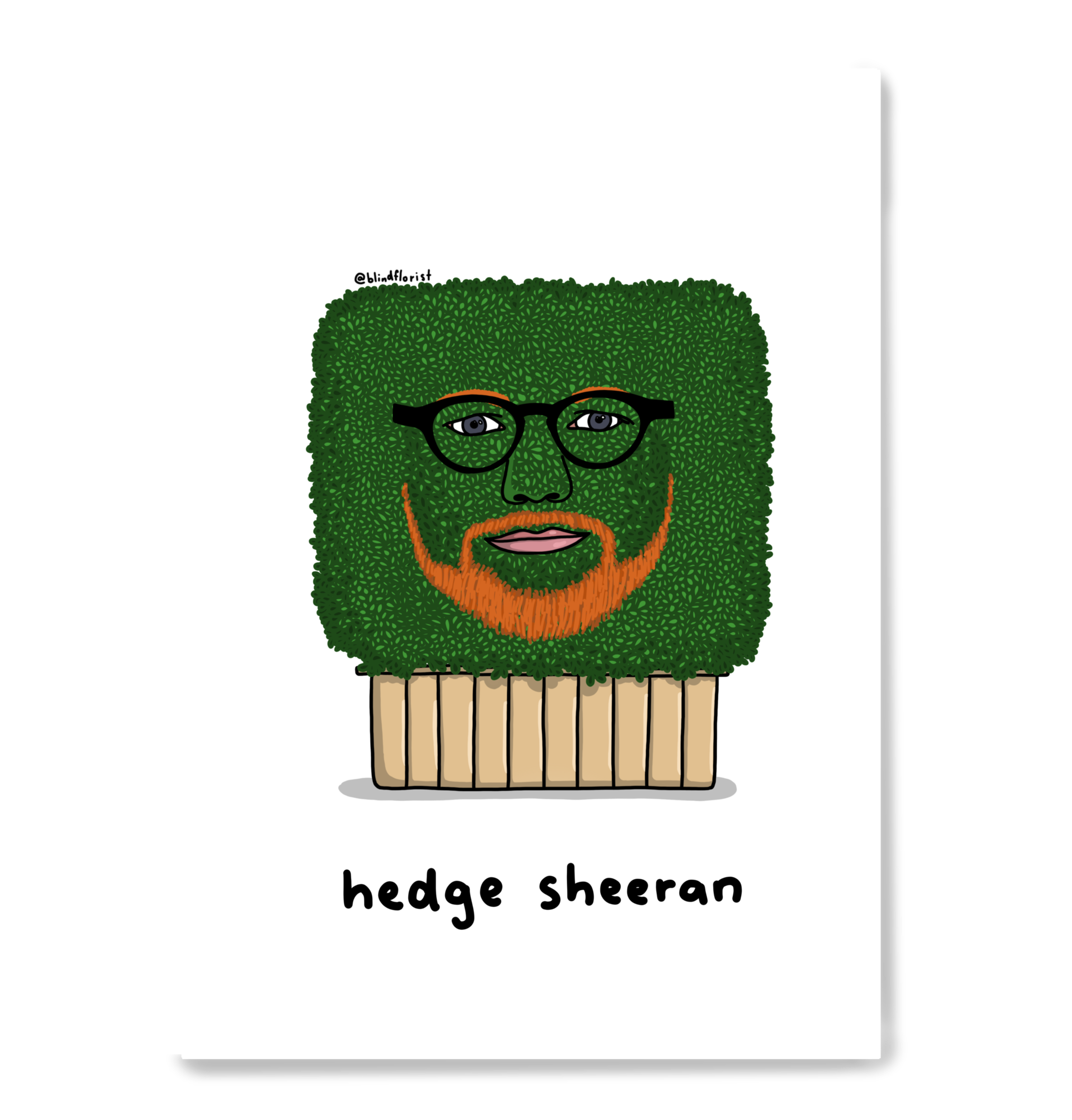 Hedge Sheeran