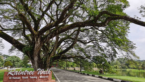 Living Happy In Taiping