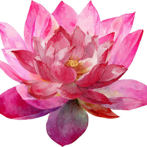 PINK LOTUS.png