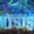 Mis 15