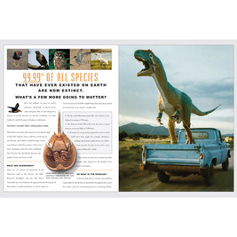 Interior spread, Manomet Center for Conservation Sciences, shorebird recovery fundraising project.