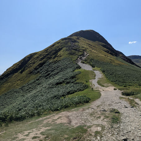 Running up that hill: training with hills
