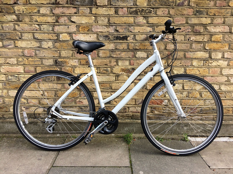 Specialized Globe Hybrid (L)