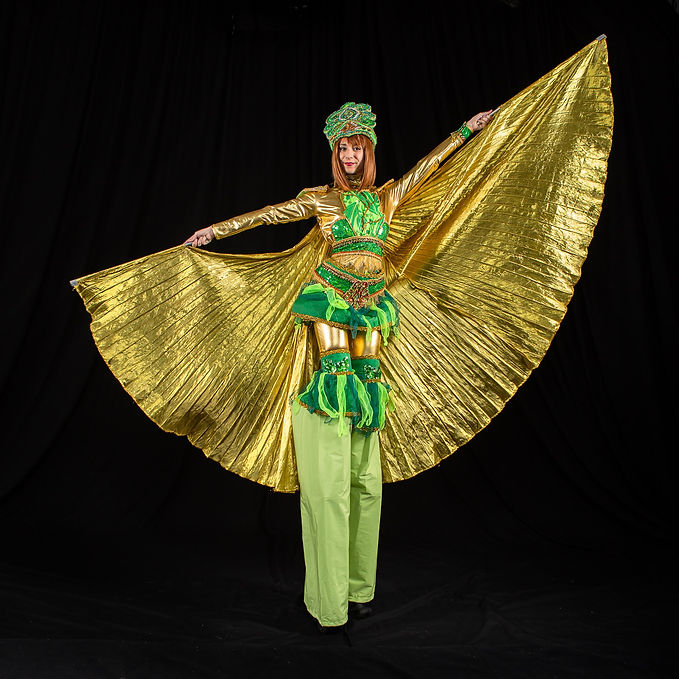 Échassier, or, samba, vert