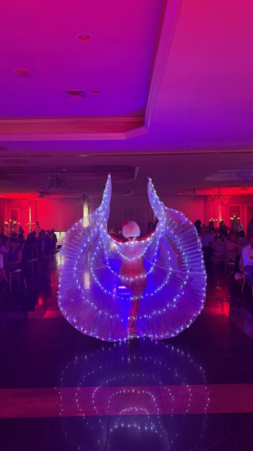 animation-lumineuse-sherbrooke.jpg