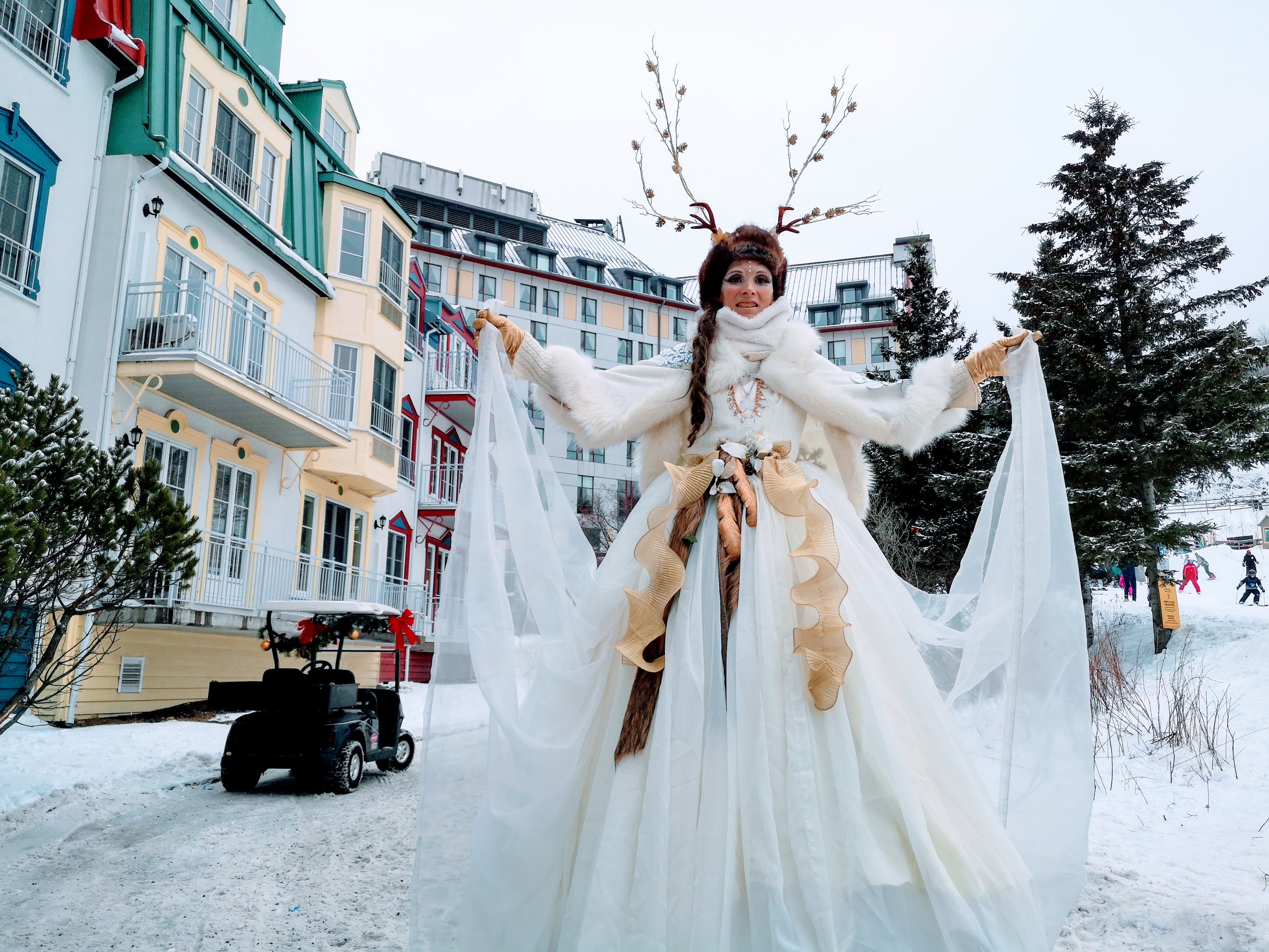 Échassier Hiver elfe blanc
