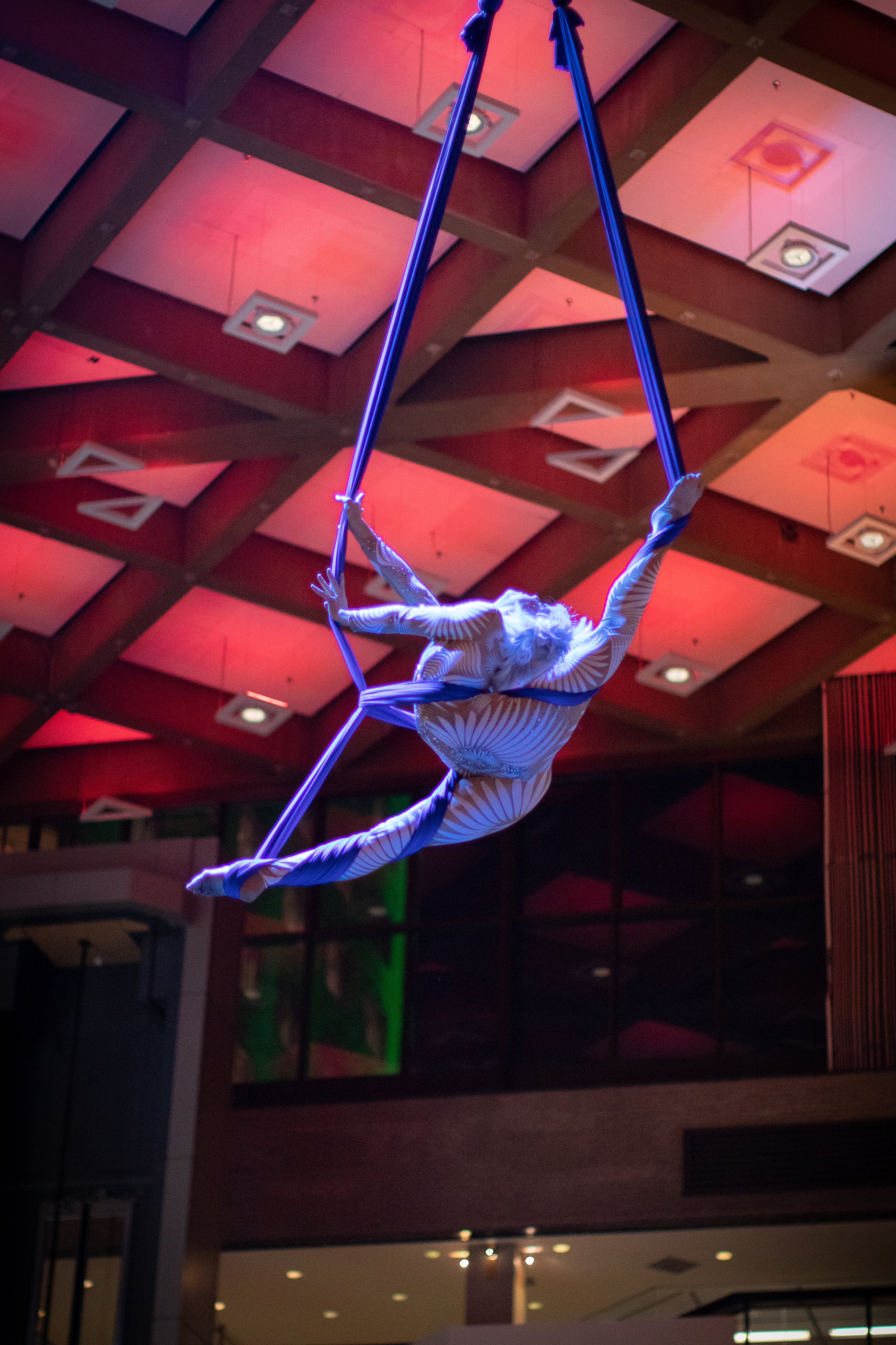 tissus aerien, artiste cirque