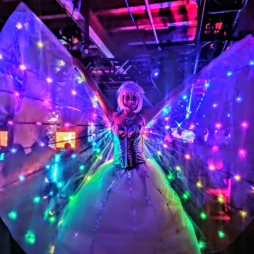 Échassier Échassière Lumineux