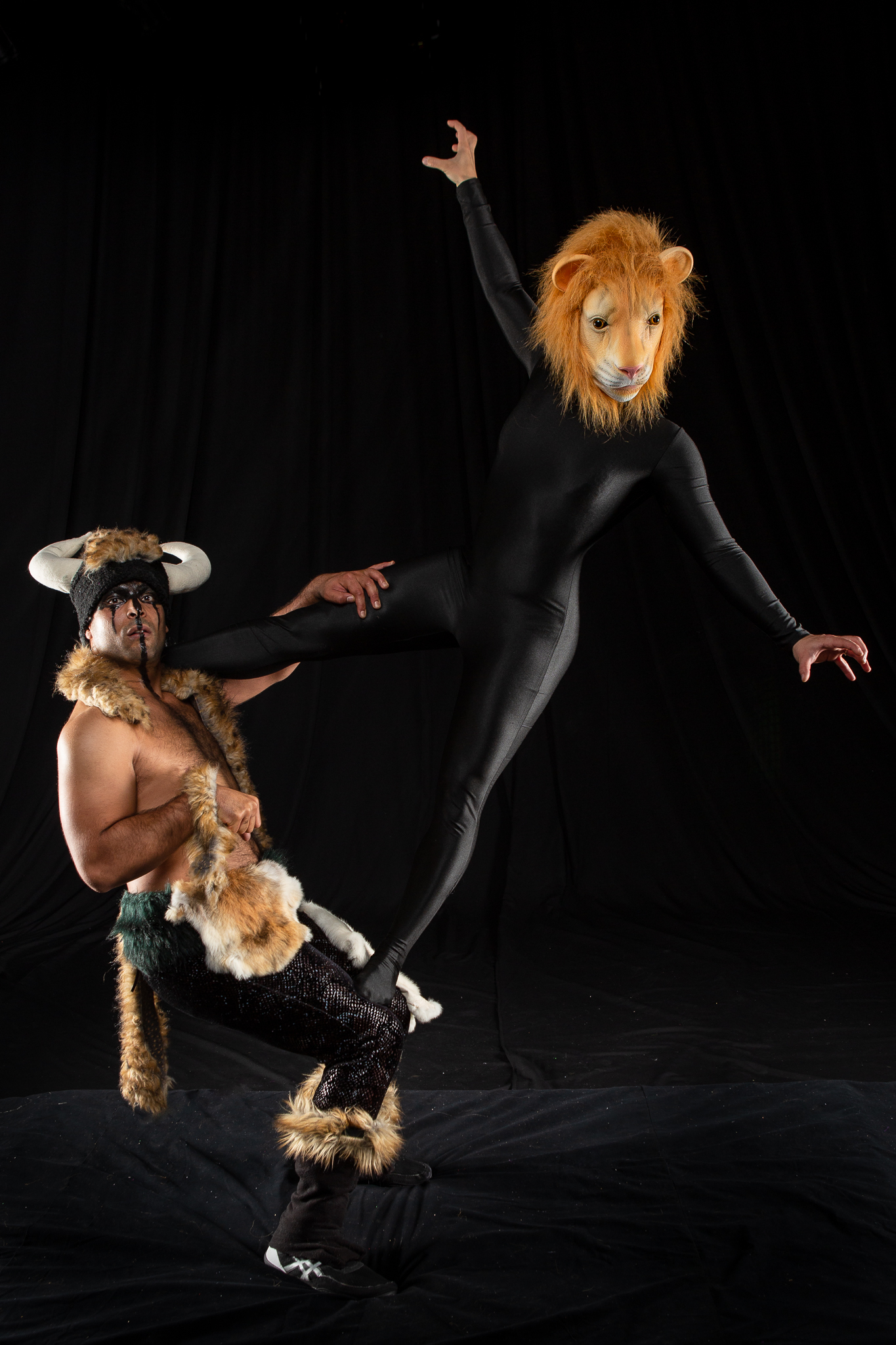Spectacle de cirque lion acrobates