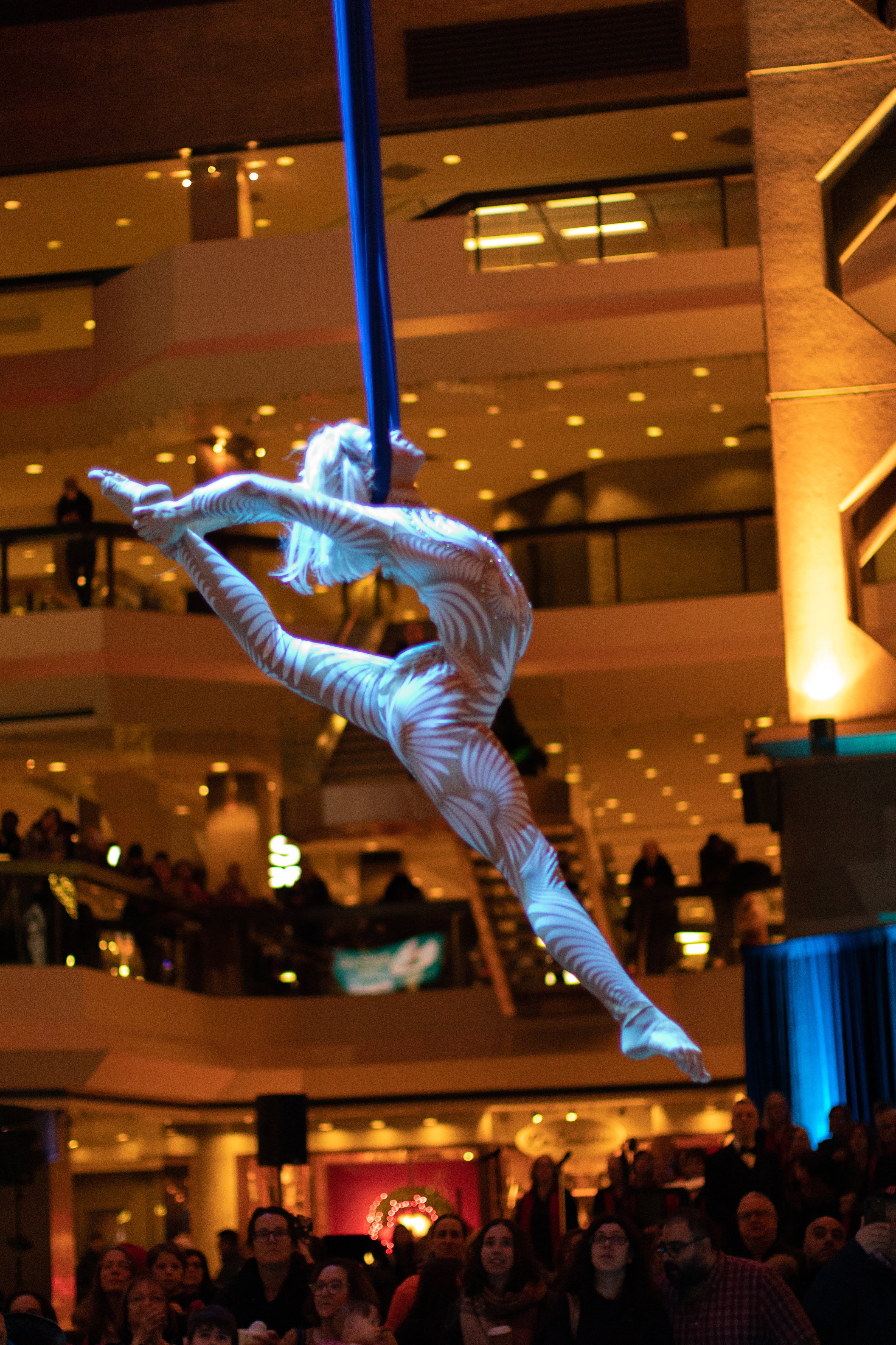tissus aerien, artiste cirque, foule