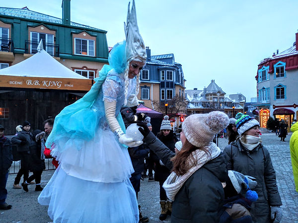 Reine échassier parade hiver, public