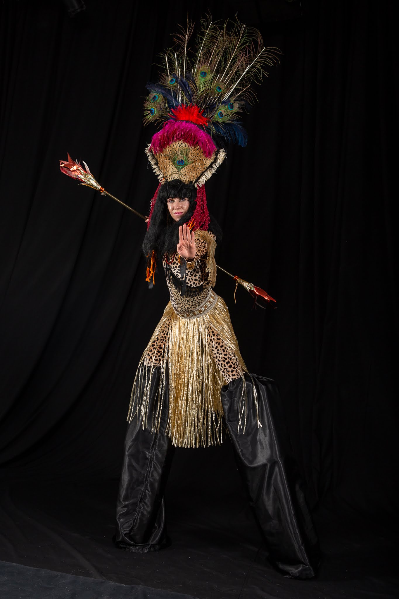 échassier, culture, afrique