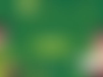 🌳【愛種樹 2024年12月活動剪影】