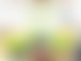 🌳愛種樹<森林小學堂>活動預告