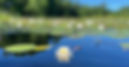 IMG_3477.jpeg