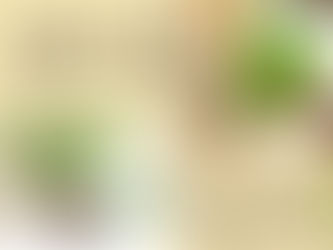 【🌳森林小學堂】