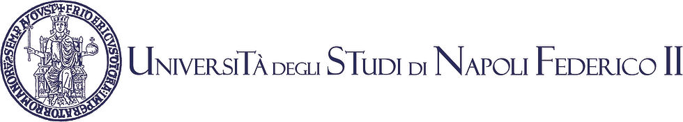 03_logo unina_blue.jpg