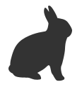 Rabbit 2