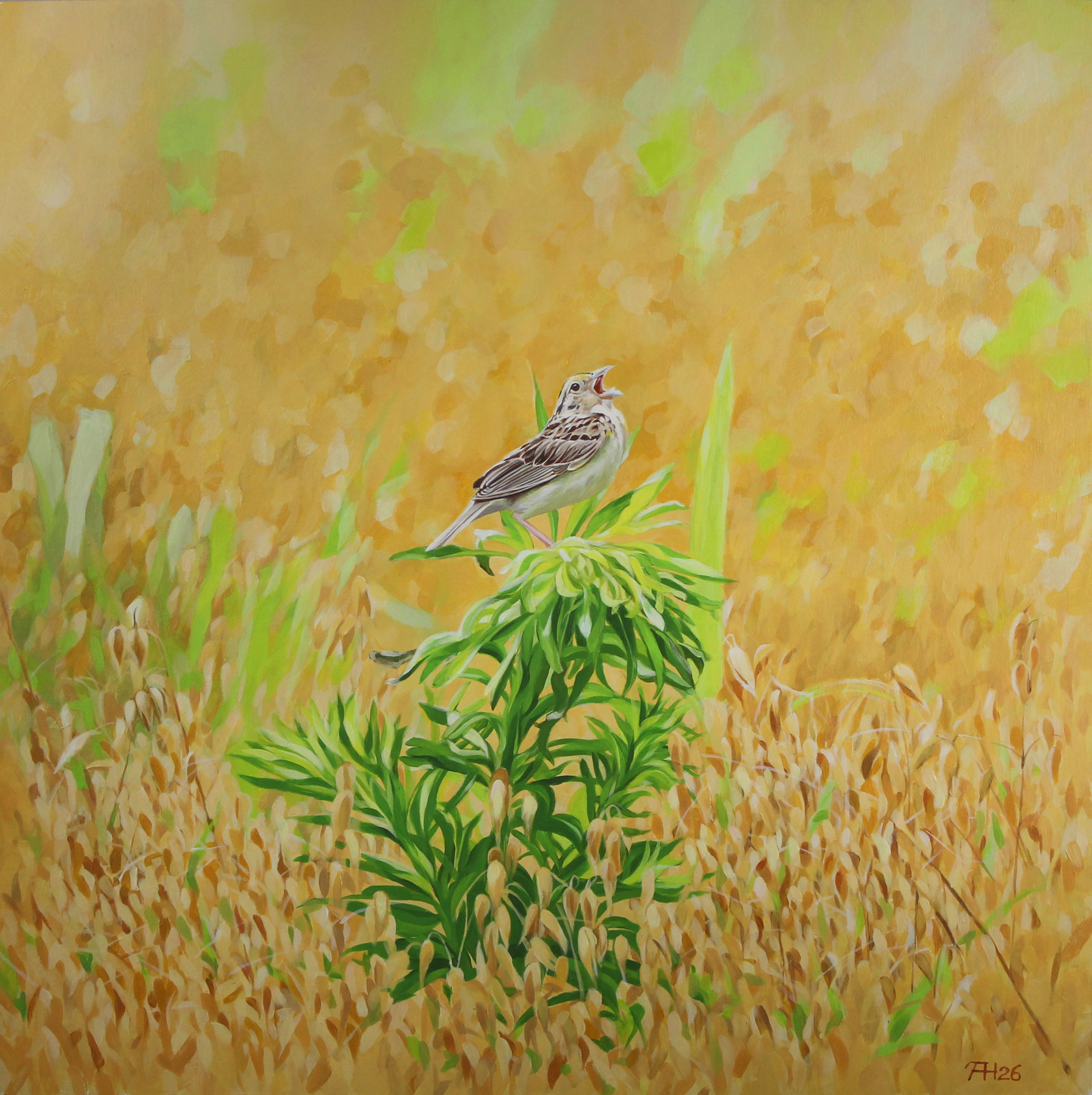 Grasshopper sparrow | 20 x 20 inches