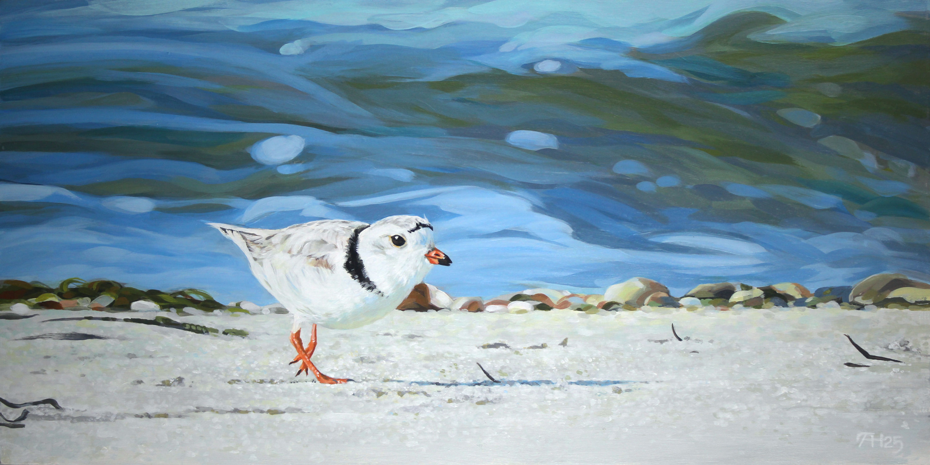 West Dennis Piping Plover | 10x20" | acrylic on wood panel