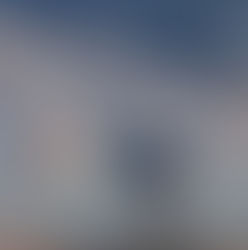 Sunlit sanderling series