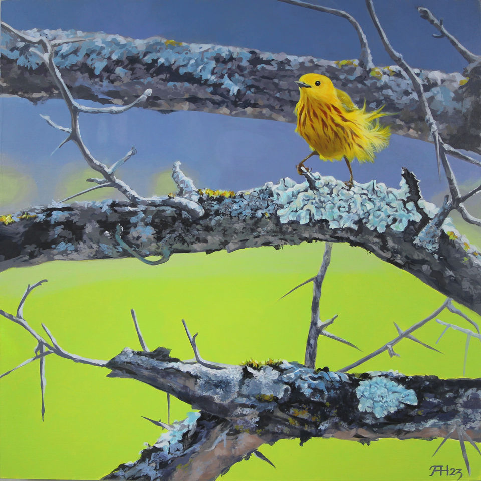 yellow warbler spring_edited.jpg