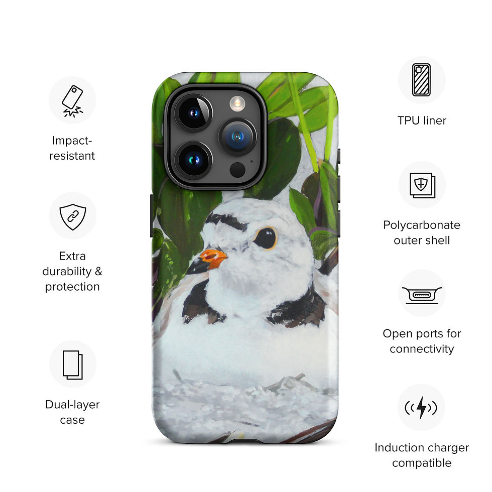 Thumbnail: Piping plover Tough Case for iPhone®