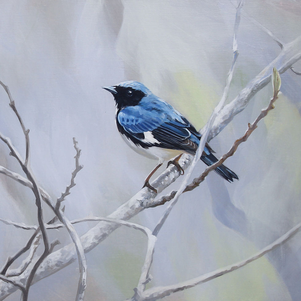 Thumbnail: Songbird notecards