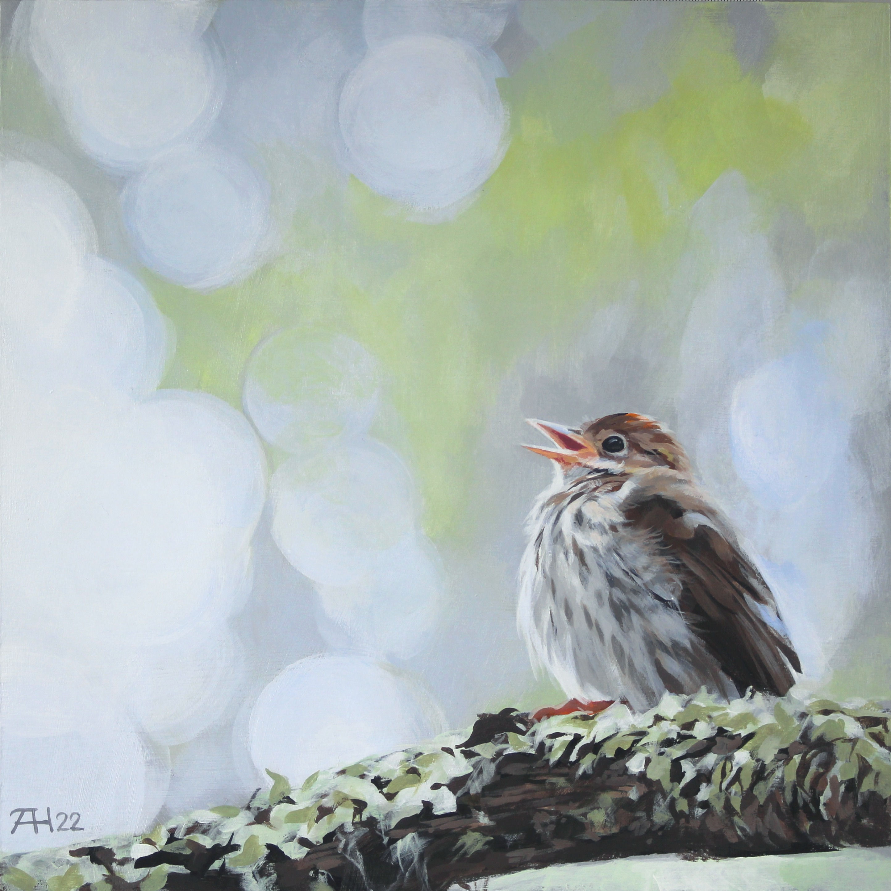 Ovenbird song fine art print • 10 x 10 inches