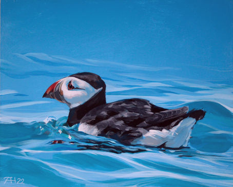 Descendants of puffin y54