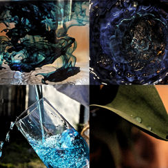 Water #2.jpg